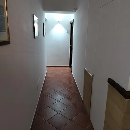 Le Del Corso *